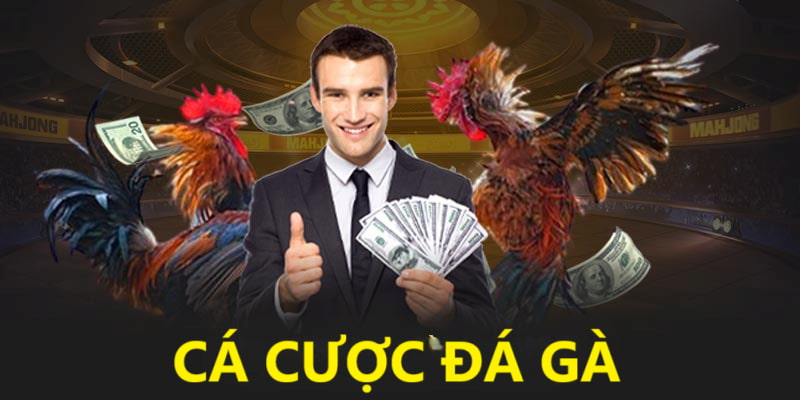 Đôi nét về cá cược đá gà tại 33win