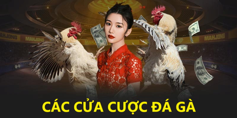 Các cửa cược chọi kê phổ biến