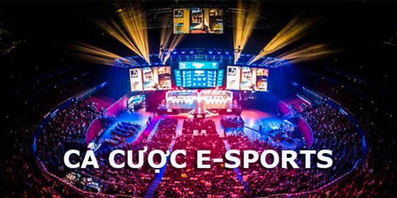 Chiến Thuật Cá Cược Esports Chuyên Nghiệp