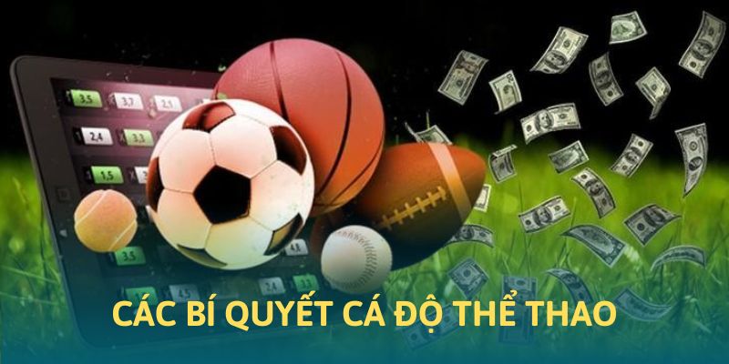 Những bí quyết cá độ thể thao tại 33win