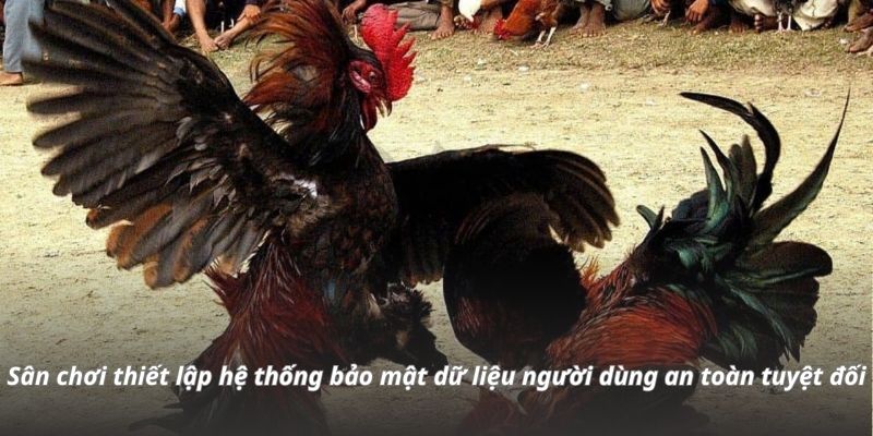 Sân chơi thiết lập hệ thống bảo mật dữ liệu người dùng an toàn tuyệt đối