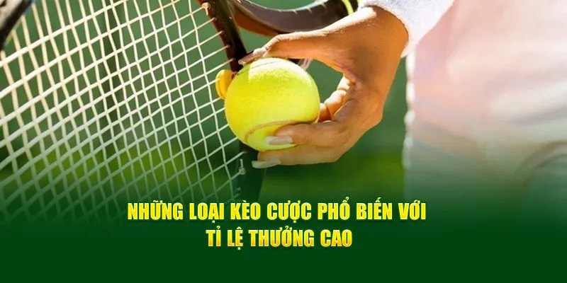 Người chơi có thể đặt cược vào nhiều loại kèo khác nhau
