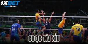 Cược Tài Xỉu Trong Bóng Chuyền