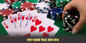 ảnh bìa mẹo đánh trác kim hoa 33win