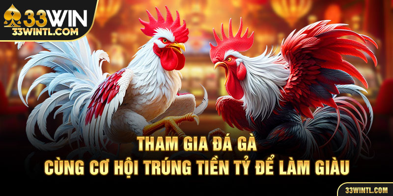 Tham gia đá gà cùng cơ hội trúng tiền tỷ để làm giàu