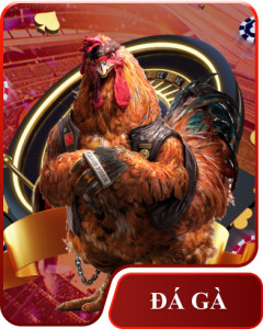 đá gà 33win