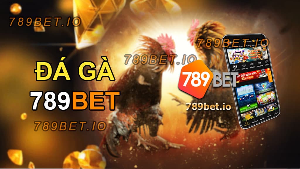 đá gà - chọi gà 789bet - 7789bet