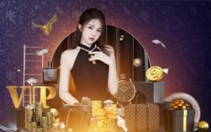 CÂU LẠC BỘ 7BALL VIP
