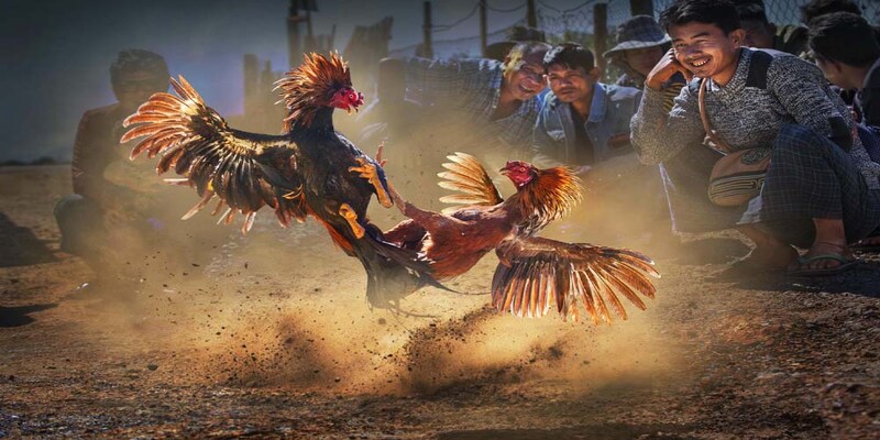 Những điều cần lưu ý khi làm đại lý cho Sv388