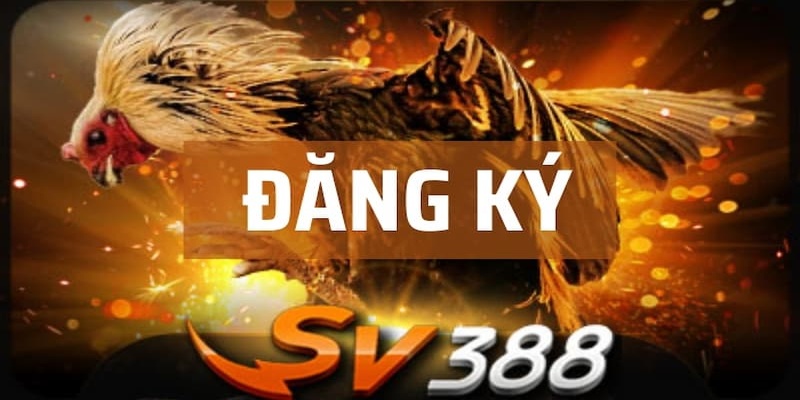 FAQ SV388 – Tại sao tài khoản mới đăng ký lại bị khóa?