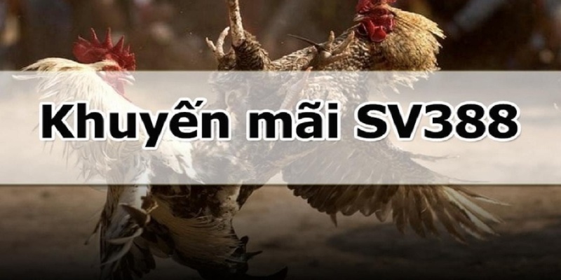 Giới thiệu về thông tin chương trình khuyến mãi SV388