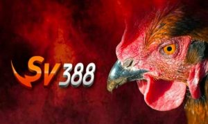 Cập Nhật Sự Kiện Mới Nhất Năm 2024