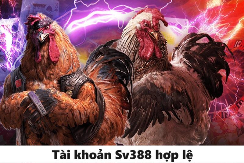 Thông tin tài khoản phải hợp lệ và xác thực với nhà cái trước đó
