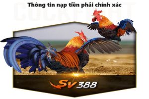 Cung cấp thông tin nạp tiền SV388 chính xác