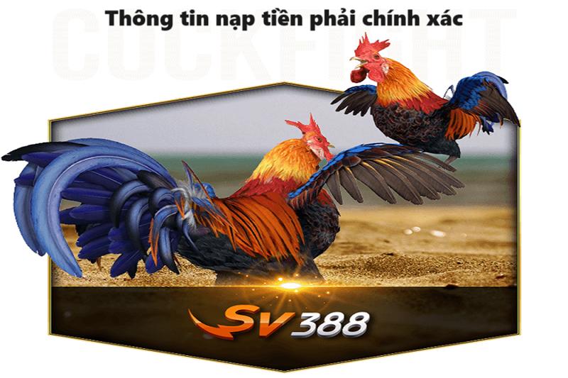 Cung cấp thông tin nạp tiền SV388 chính xác