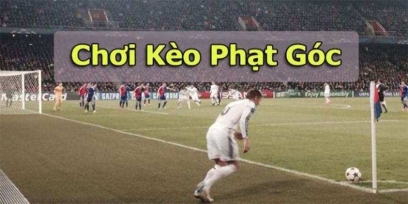 Tìm Hiểu Các Kèo Phạt Góc Phổ Biến Được Sử Dụng Trong Trận Đấu