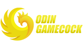 10210