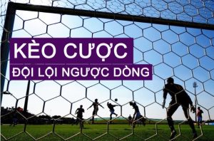 Kèo lội ngược dòng là gì?