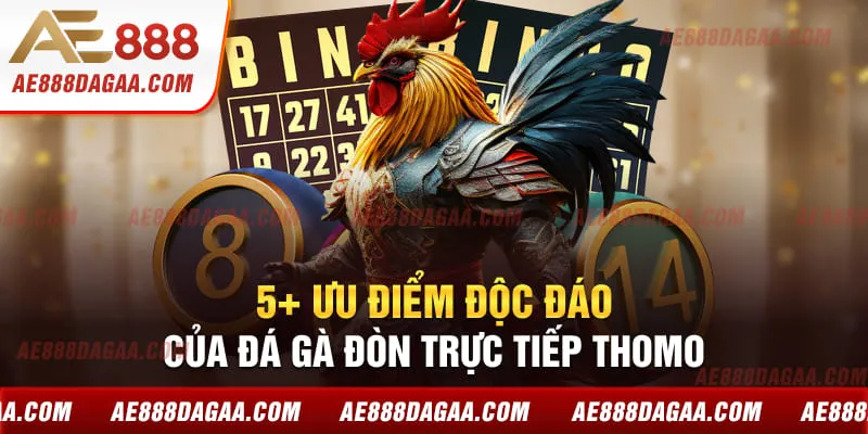 5+ ưu điểm độc đáo của đá gà đòn trực tiếp Thomo