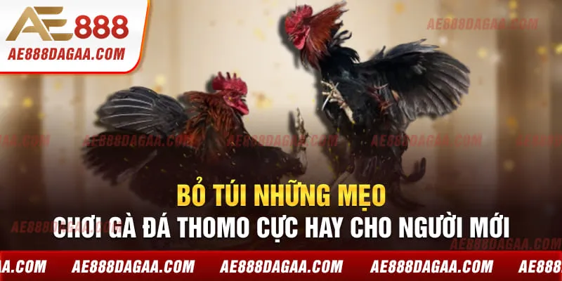 Bỏ túi mẹo săn ưu đãi nạp từ người chơi lâu năm