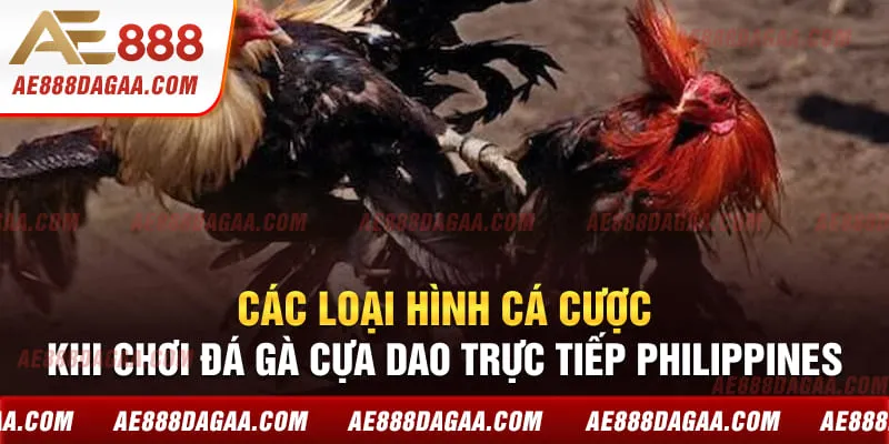 Các loại hình cá cược khi chơi đá gà cựa dao trực tiếp Philippines