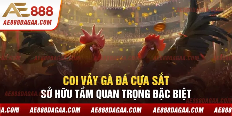 Coi vảy gà đá cựa sắt sở hữu tầm quan trọng đặc biệt