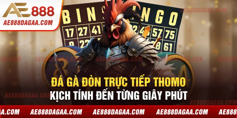 Đá Gà Đòn Trực Tiếp Thomo - Kịch Tính Đến Từng Giây Phút