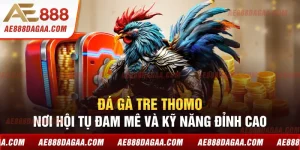 Đá Gà Tre Thomo - Nơi Hội Tụ Đam Mê và Kỹ Năng Đỉnh Cao