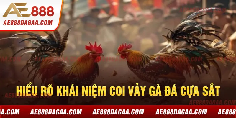 Hiểu rõ khái niệm coi vảy gà đá cựa sắt