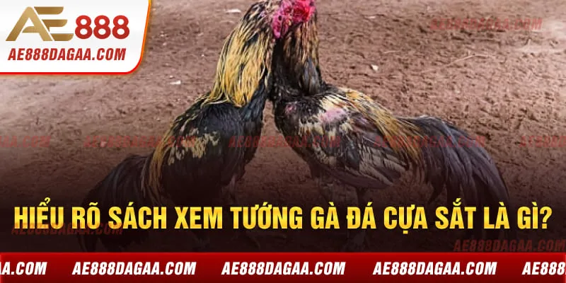 Hiểu rõ sách xem tướng gà đá cựa sắt là gì?