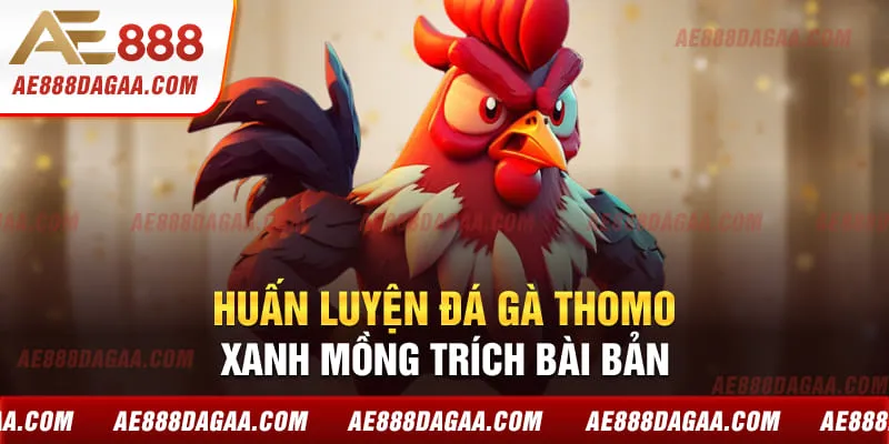 Huấn luyện đá gà Thomo Xanh Mồng Trích bài bản