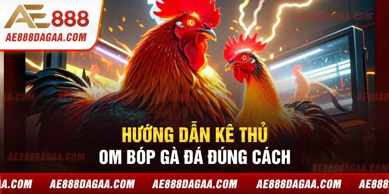 Hướng dẫn kê thủ om bóp gà đá đúng cách