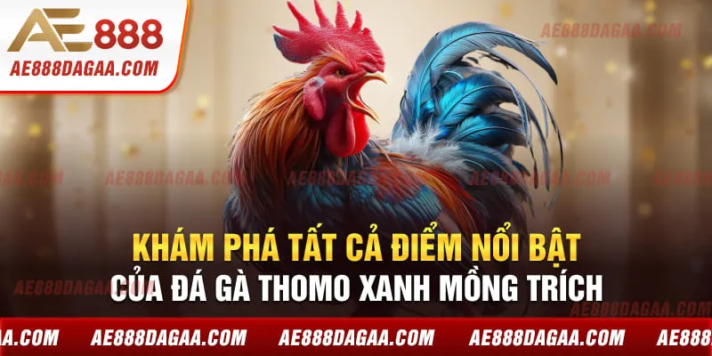 Khám phá tất cả điểm nổi bật của đá gà Thomo Xanh Mồng Trích