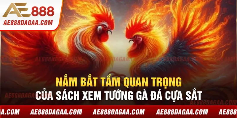 Nắm bắt tầm quan trọng của sách xem tướng gà đá cựa sắt