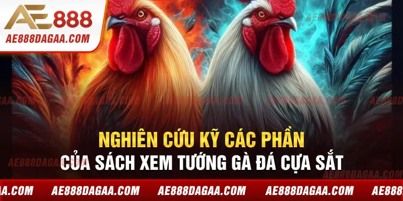 Nghiên cứu kỹ các phần của sách xem tướng gà đá cựa sắt