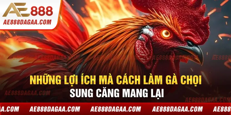 Những lợi ích mà cách làm gà chọi sung căng mang lại