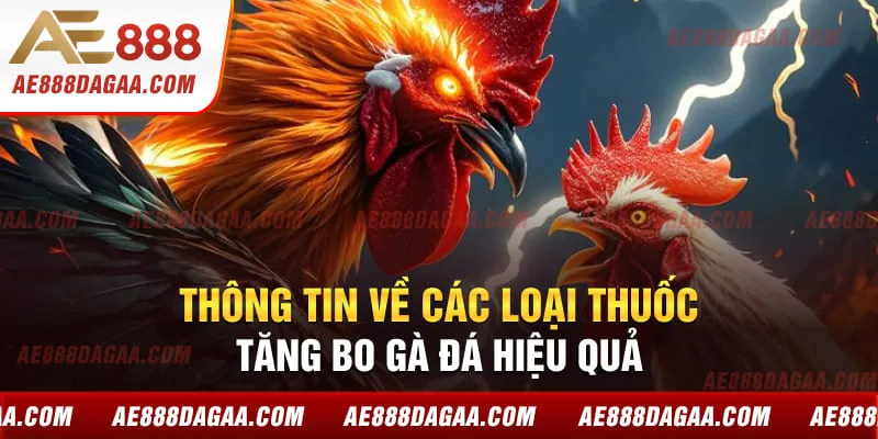 Thông tin về các loại thuốc tăng bo gà đá hiệu quả