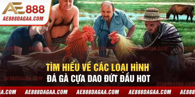 Tìm hiểu về các loại hình đá gà cựa dao đứt đầu hot