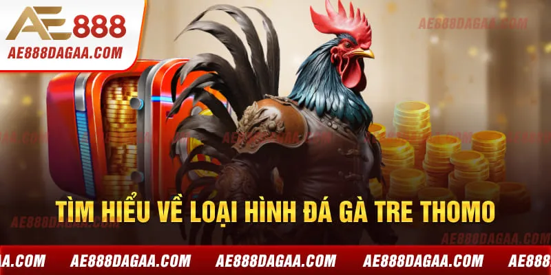 Tìm hiểu về loại hình đá gà tre Thomo