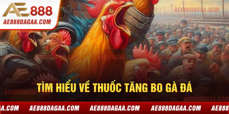Tìm hiểu về thuốc tăng bo gà đá