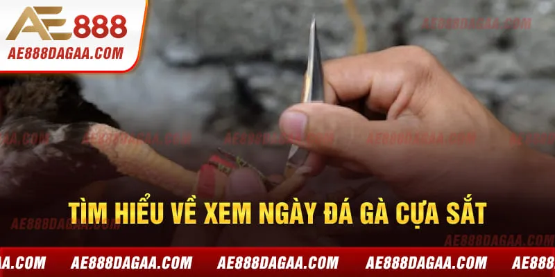 Tìm hiểu về xem ngày đá gà cựa sắt