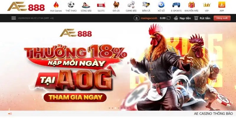 Đá gà tái hiện không khí sống động của những sàn đấu đỉnh cao