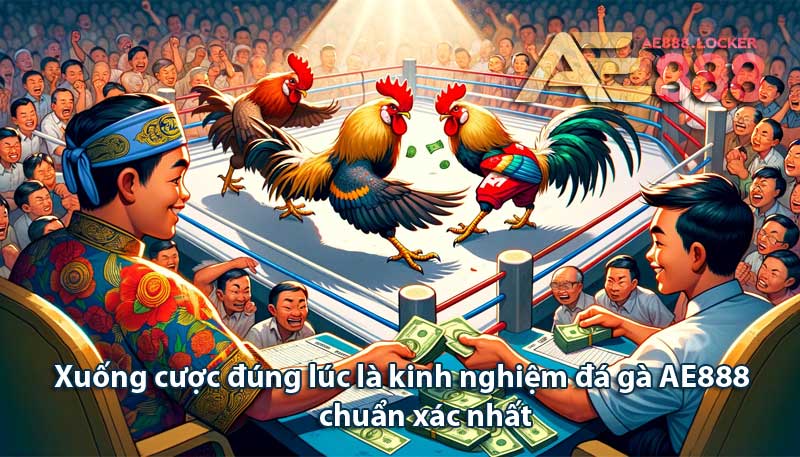 Xuống cược đúng lúc là kinh nghiệm đá gà AE888 chuẩn xác nhất