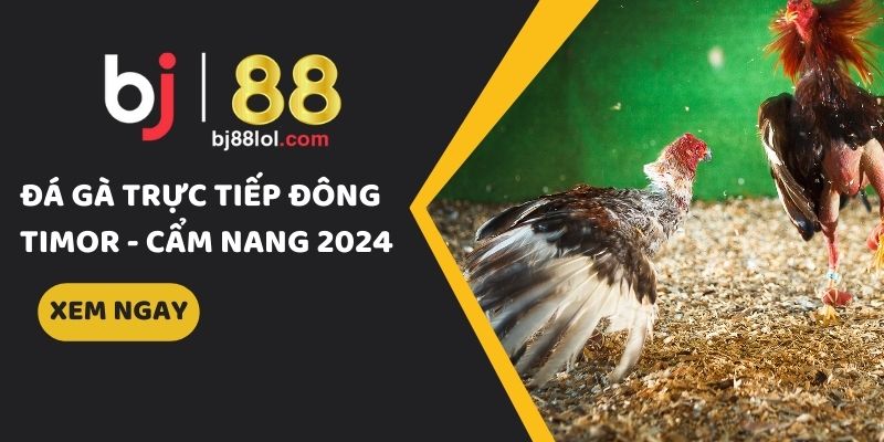 đá gà trực tiếp đông timor