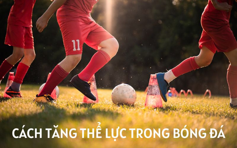 Vai trò thiết yếu của thể lực trong bóng đá