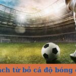 Cách từ bỏ cá độ bóng đá