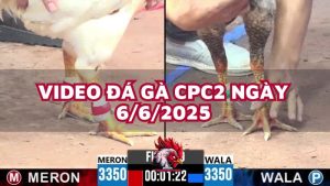 da-ga-cpc2-6-6-25