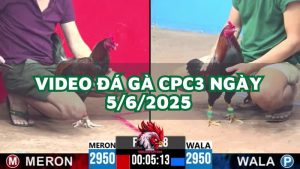 da-ga-cpc3-5-6-2025
