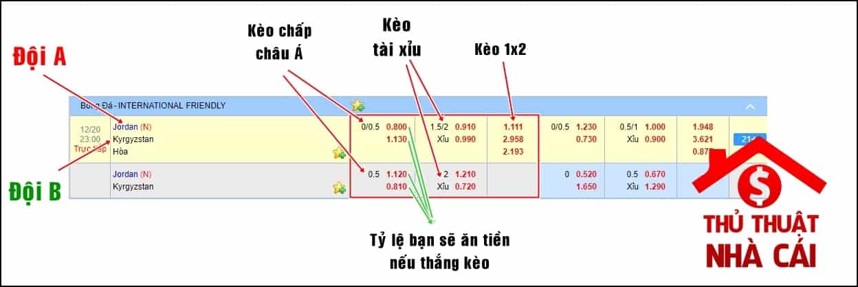 Đọc kèo bóng đá cho người mới - Hướng dẫn đọc kèo bóng đá mới nhất
