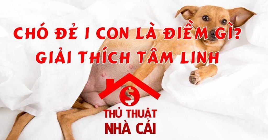 Chó đẻ 1 con là điềm gì